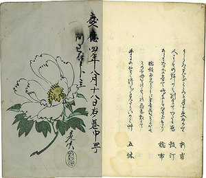 俳諧いのこ草／蘆明庵五休編　是真他画