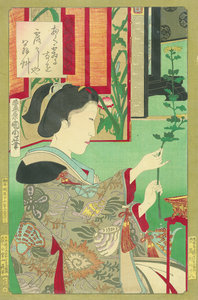 錦織武蔵の別品 おく霜になを露々しや翁草／国周