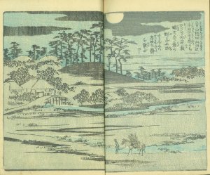 絵本江戸土産 九編／松亭金水解説　広重画