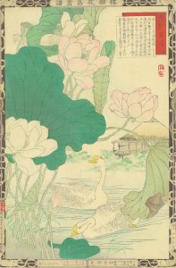 楳嶺花鳥画譜 蓮 鵞／楳嶺
