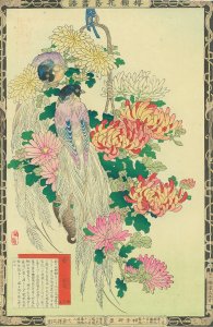 楳嶺花鳥画譜 菊 風鳥／楳嶺