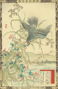 楳嶺花鳥画譜 蘆 鷂／楳嶺